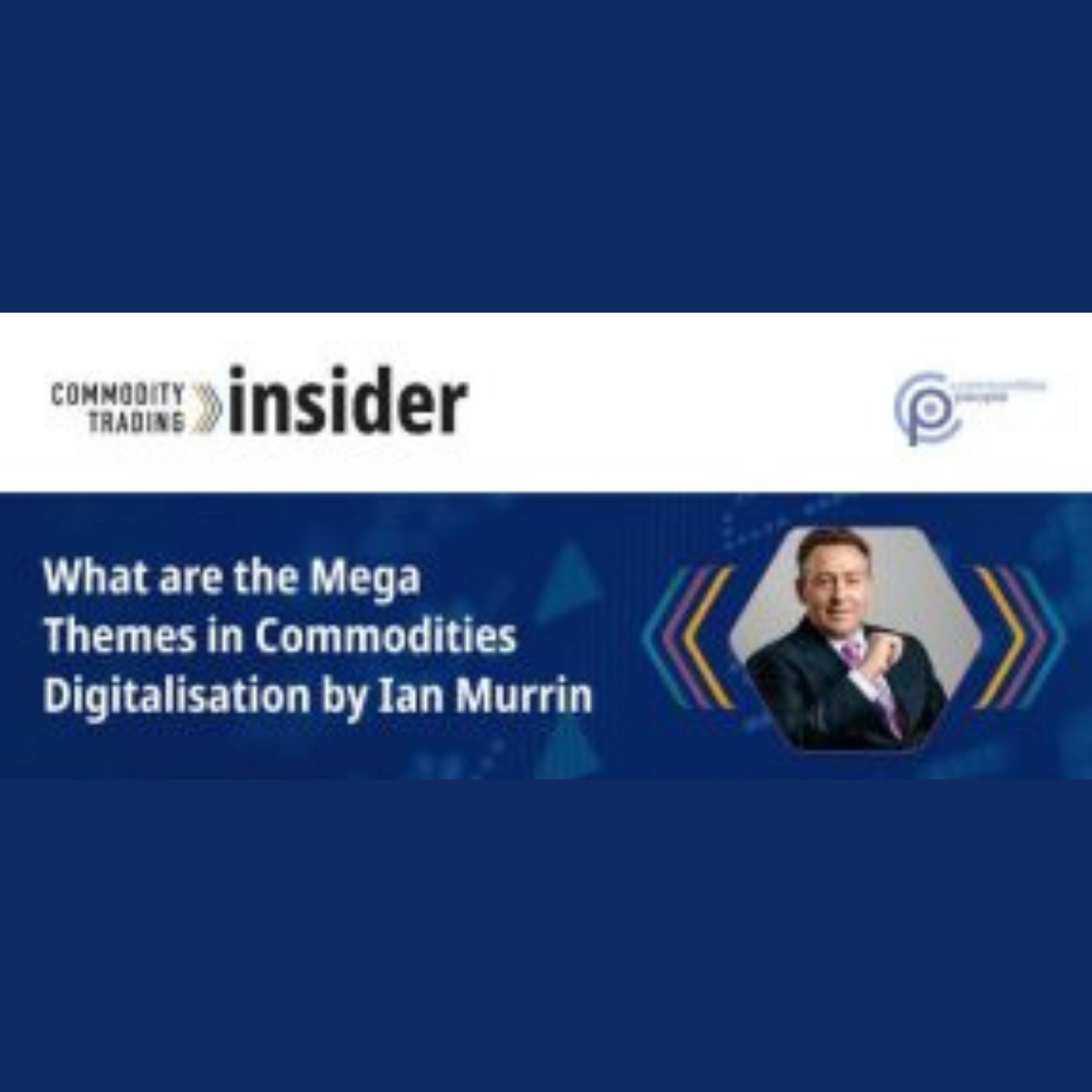 What are the Mega Themes in Commodities Digitalisation?