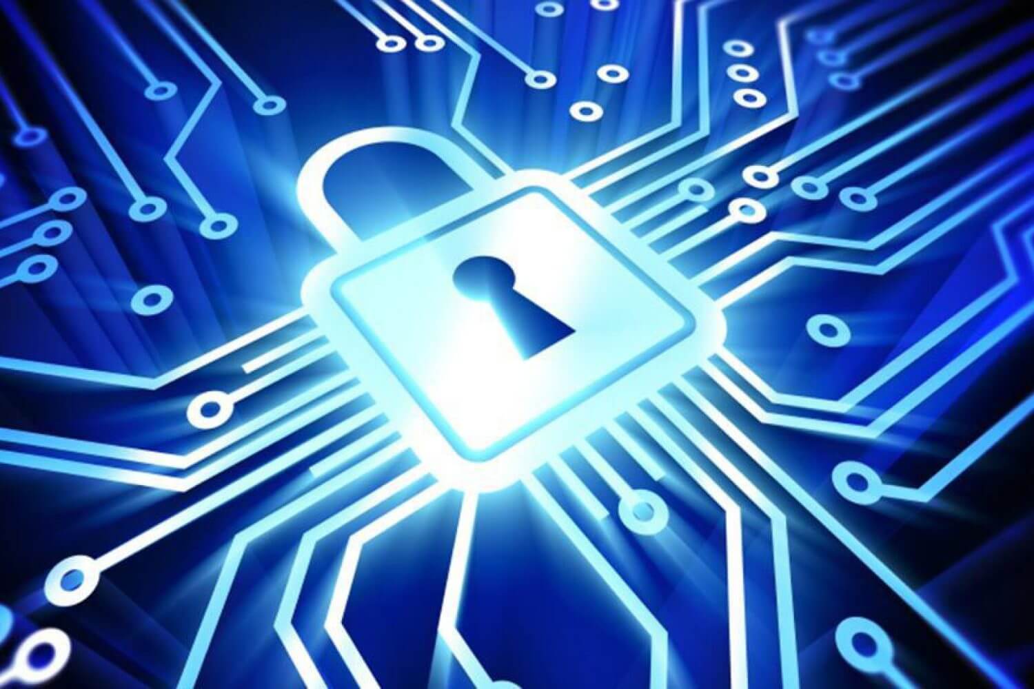 Is cyber-security a concern for your business?